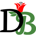 Digital Bloomz Logo